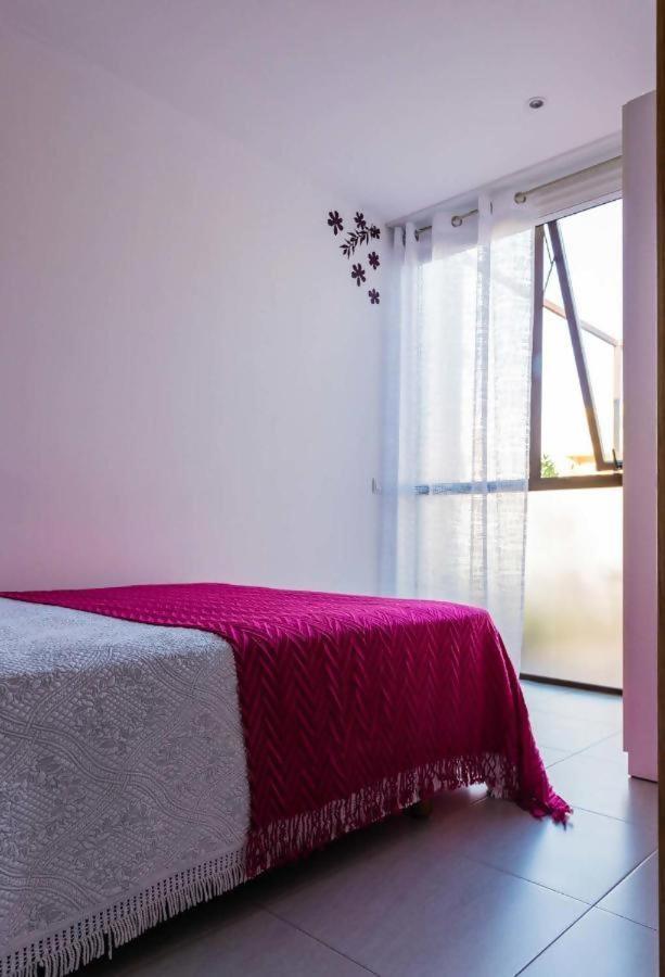 Casa Rural Vina Vella Esteiro Екстериор снимка